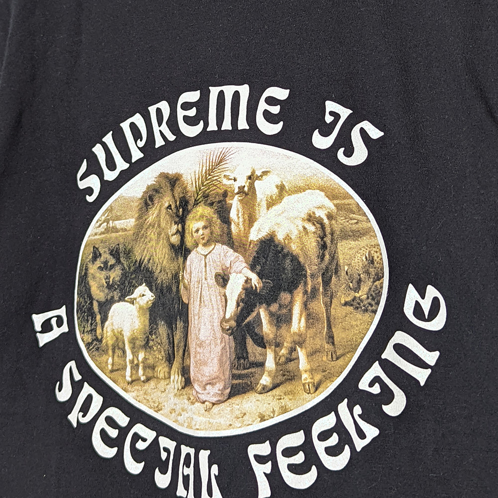Supreme: Special Feeling T-Shirt (S)
