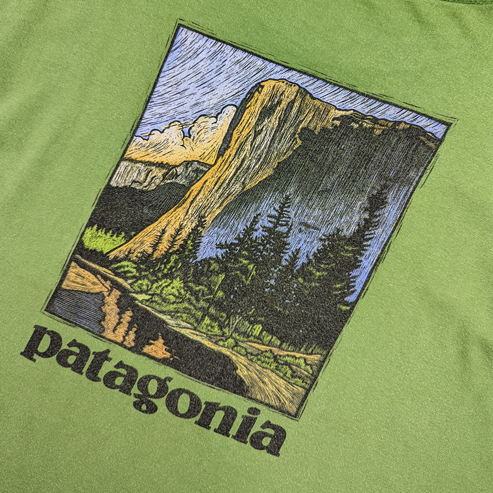 Patagonia: Rare Mountain T-Shirt (M)